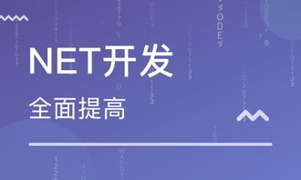 鄭州北大青鳥河工大校區軟件課程介紹與價格分析